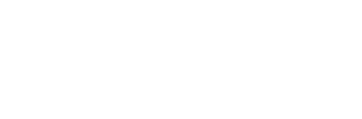 Apnea Total freediving certification logo