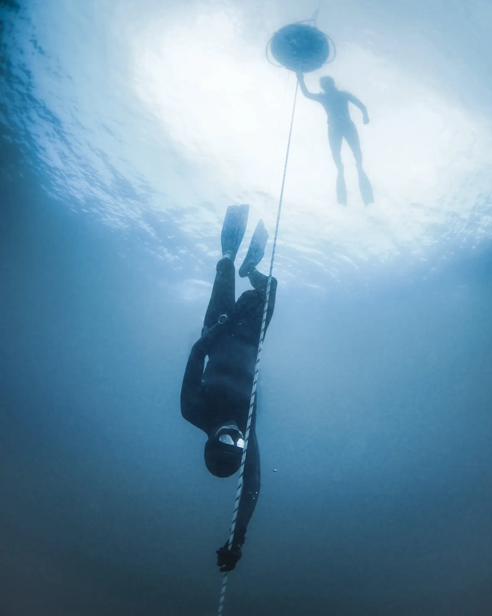 Discover Freediving