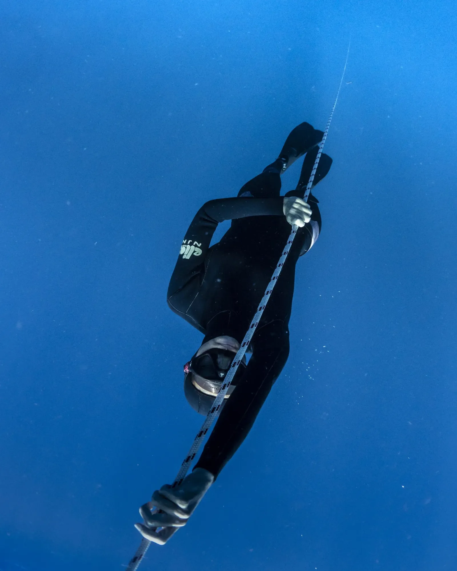 Apnea Total or Molchanovs: Which Freediving Course is Right for You?
