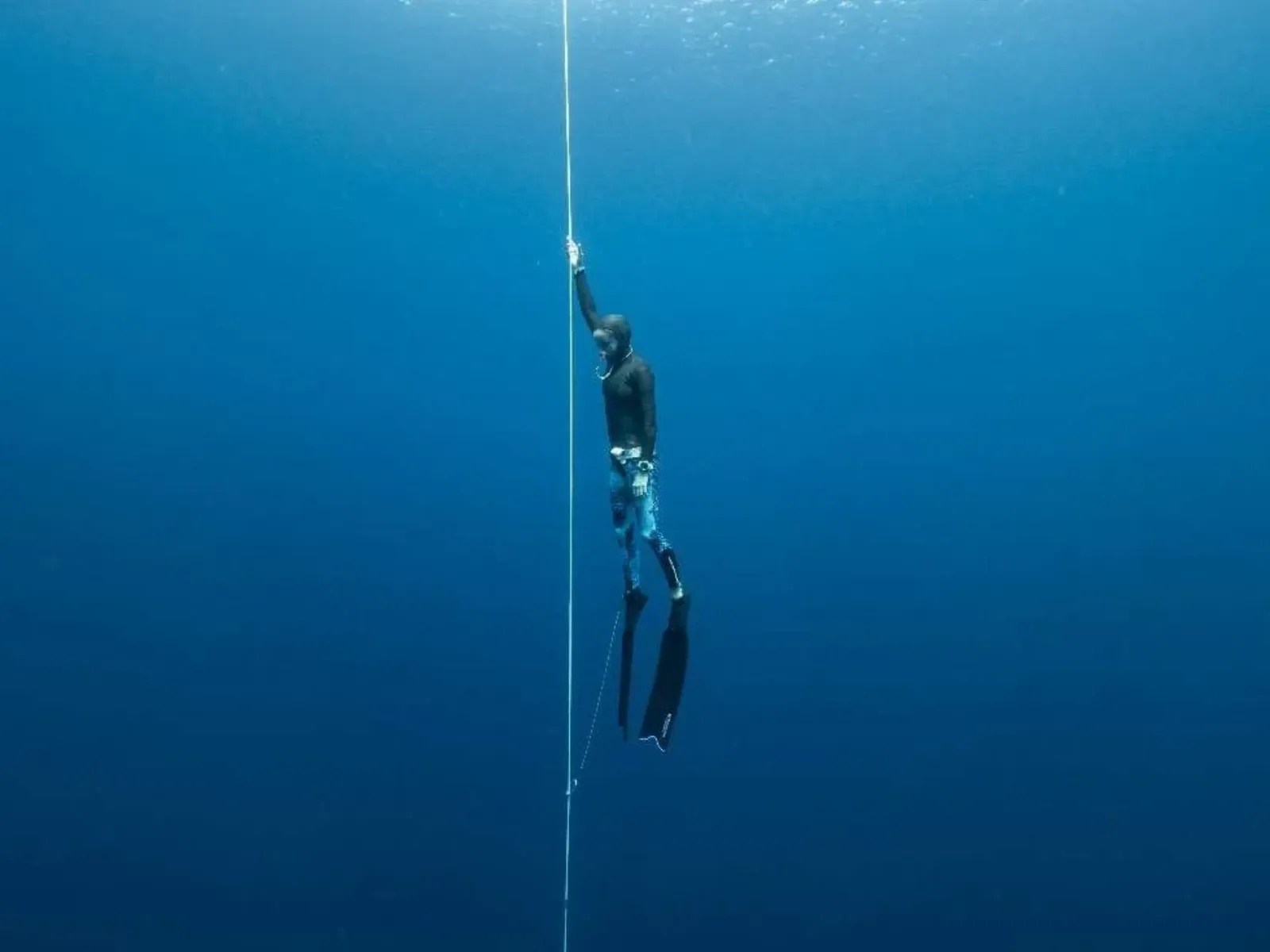 Level 3 / Master freediving course in Koh Tao