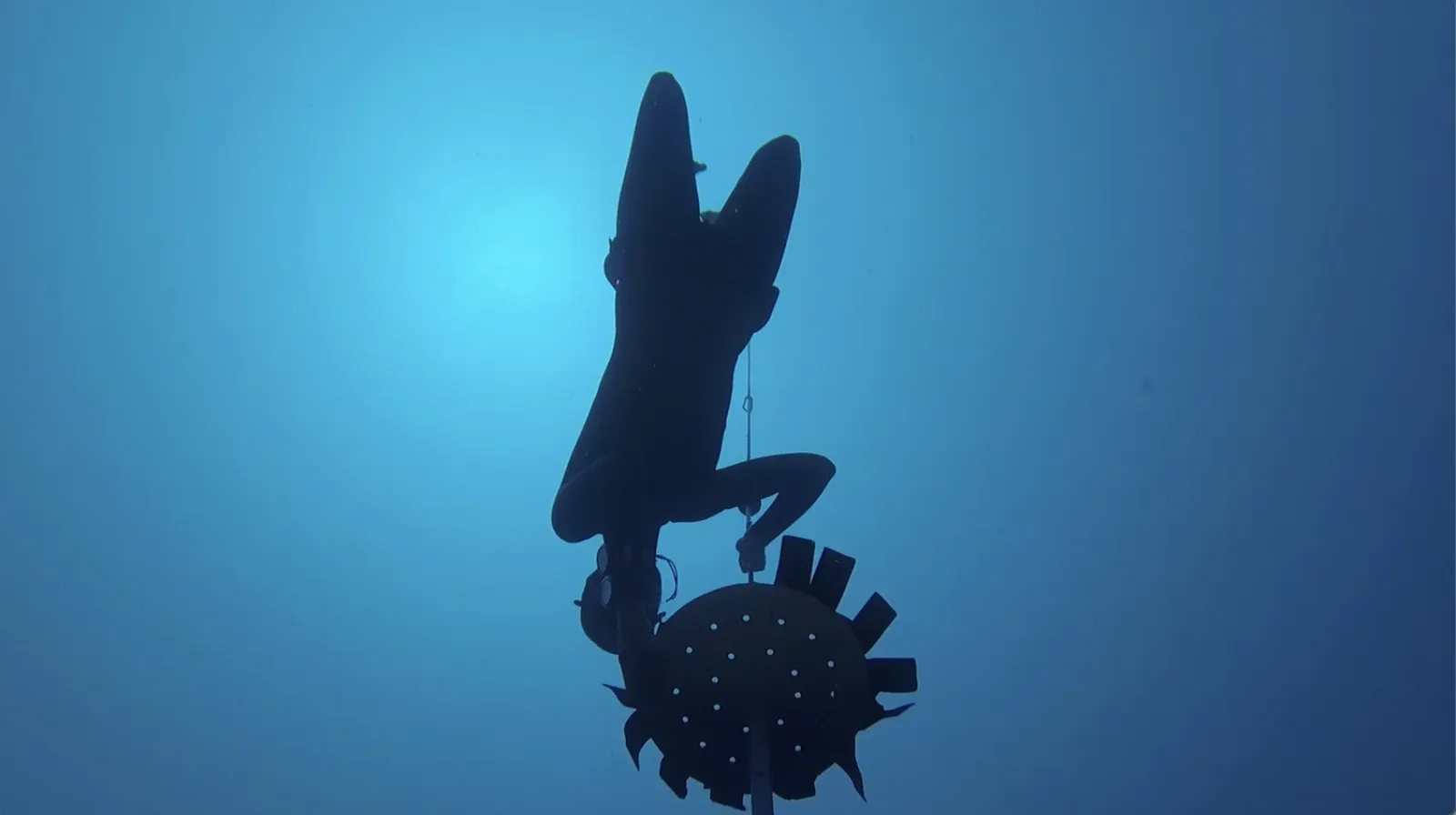 A freediver descending the line in blue water off Koh Tao