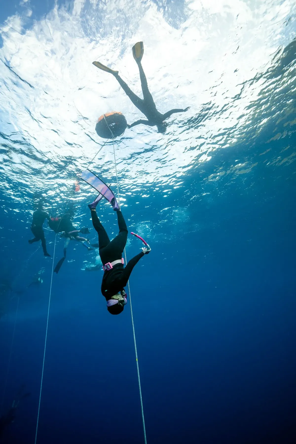Freediver descending head first along the line under the buoy while a safety diver waits at the surface
