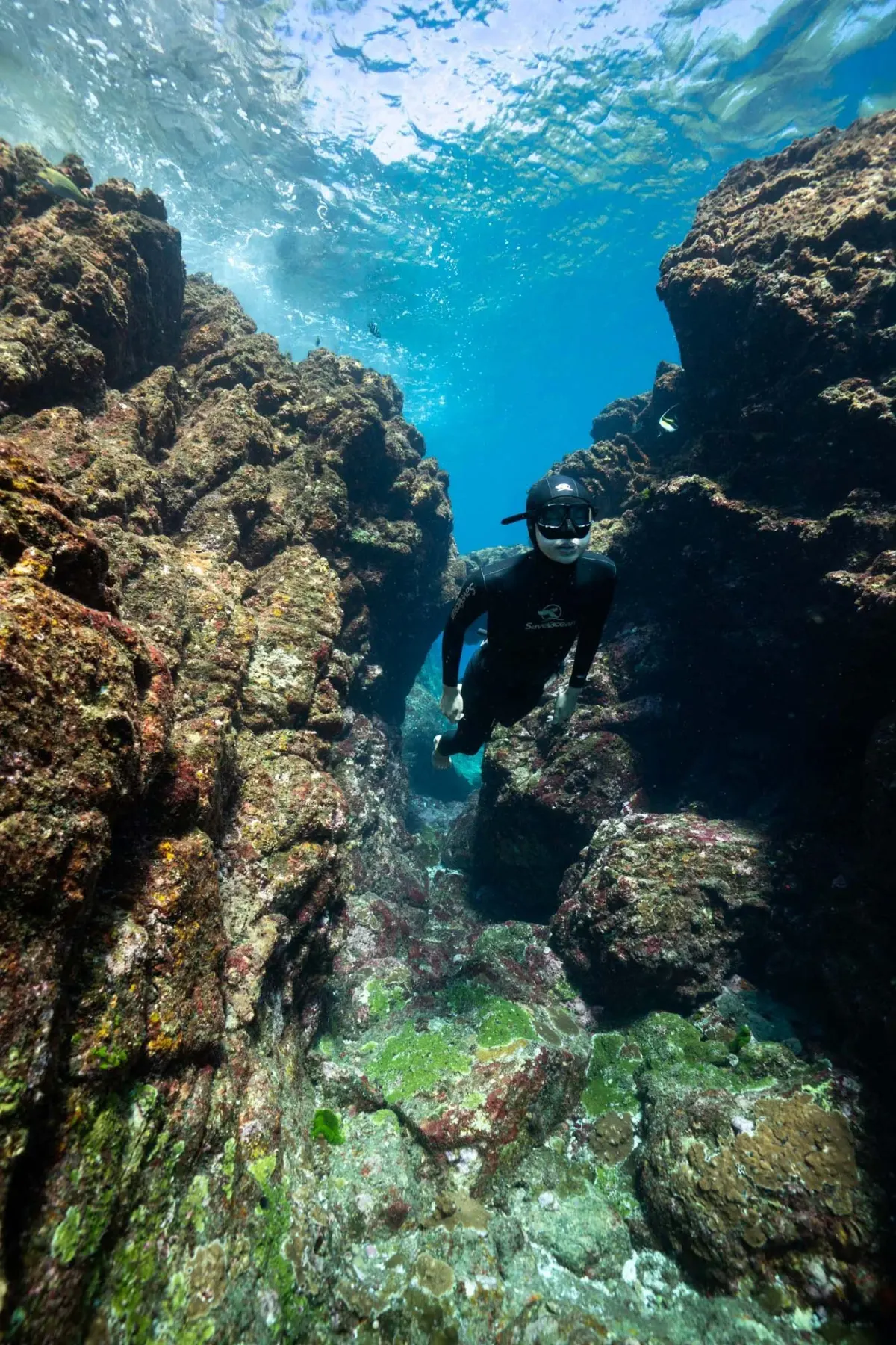 Freediver swimming through a rocky underwater canyon on a Koh Tao dive site