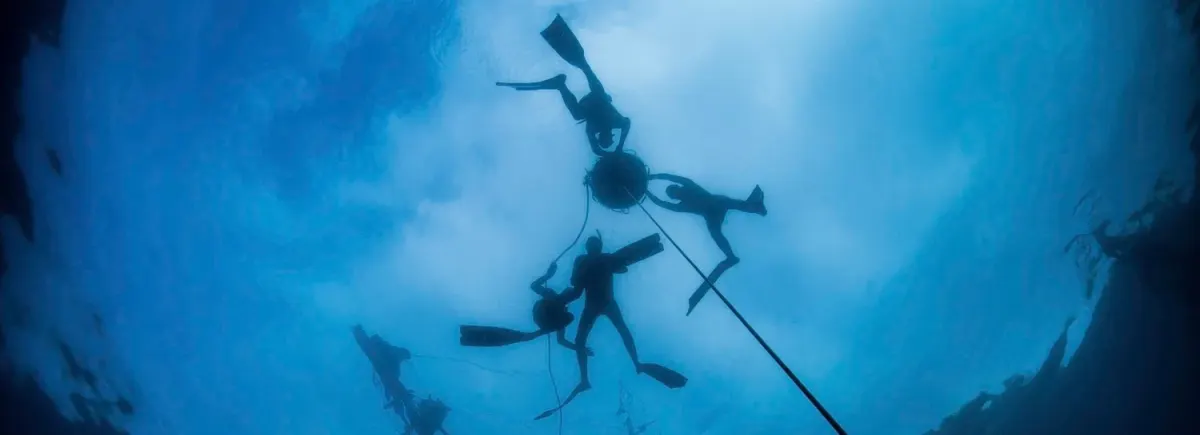 Group of freedivers around the buoy and the dive line, seen from deep below