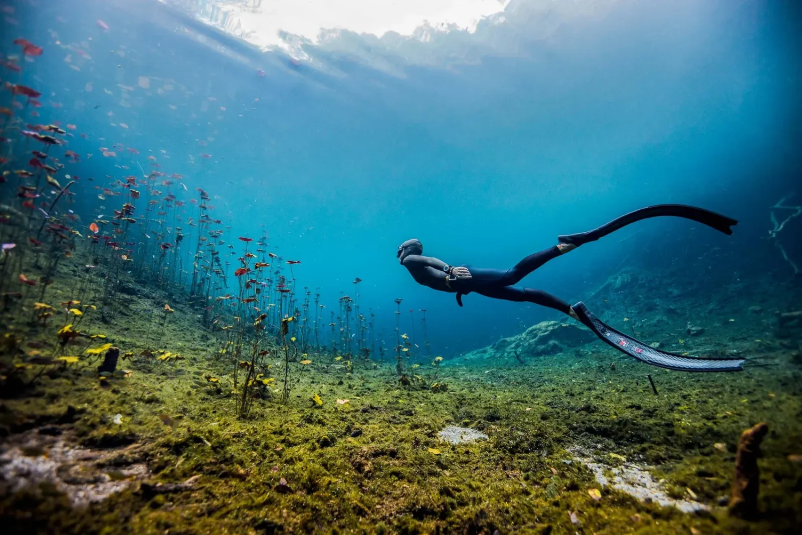 How to Hold Your Breath Longer: Freediving Techniques That Work