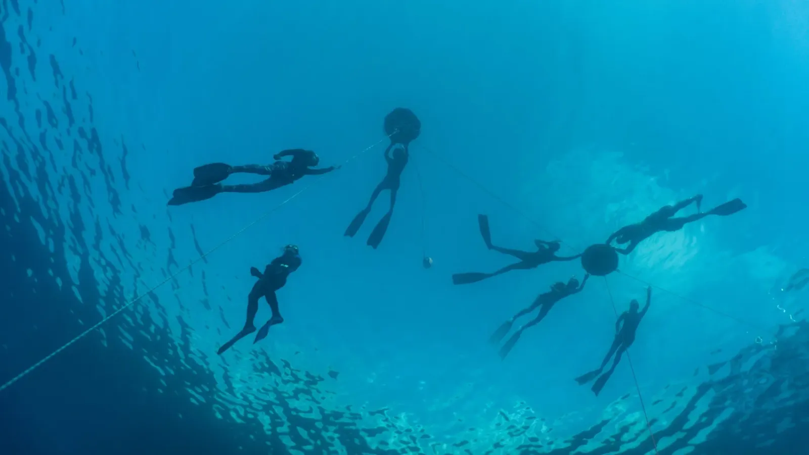 Freediving retreats and liveaboards in Koh Tao, Thailand