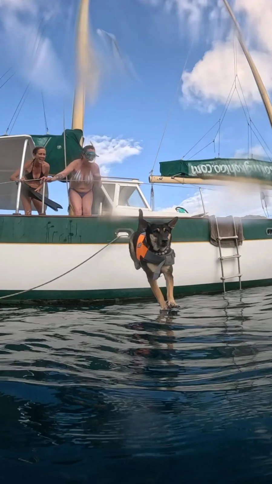 Snorkelling trip onboard the sailboat with a dog jumping from the boat